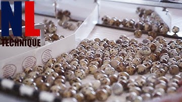 Modern Food Processing Technology with Cool Automatic Machines That Are At Another Level Part 20