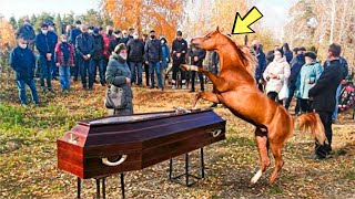 Лошадь начала наступать на гроб! крышка сломалась люди услышали крик