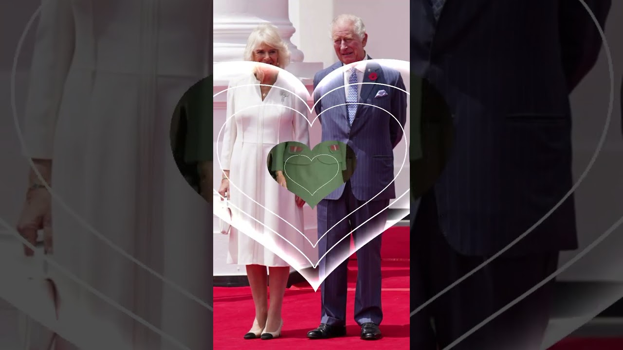 Queen Camilla Royal Dresses Designs ideas 