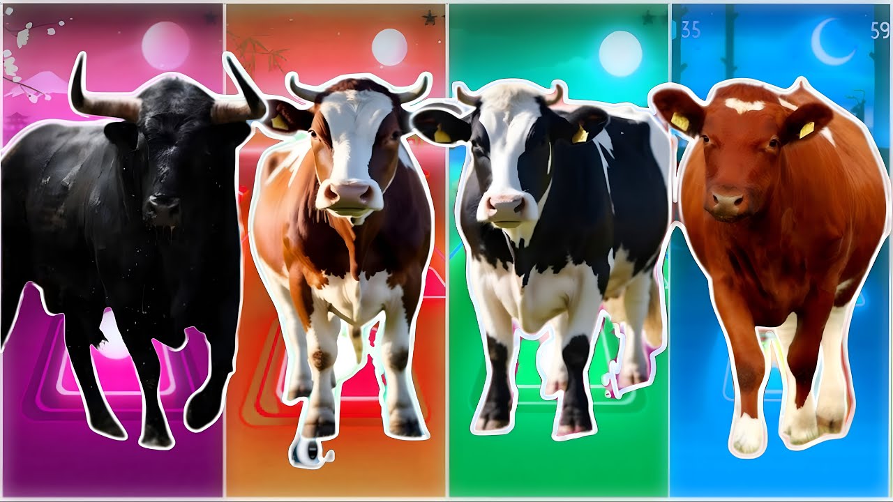Funny Cow 🐄🆚 Funny Bull 🐂🆚 Funny Buffala 🐂🆚 Funny Bison 🦬|Coffin Dance Remix | Tiles Hop 2025