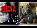 Should I take BCAA's? or Branch Chain Amino Acid Supplements???