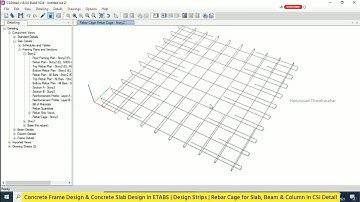 Concrete Frame Design & Concrete Slab Design in ETABS | Design Strips | CSi Detail | Rebar Cage