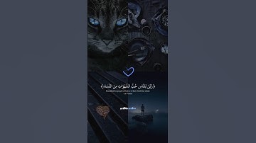 زُيِّنَ لِلنَّاسِ حُبُّ الشَّهَوَاتِ مِنَ النِّسَاءِ) سورة ال عمران