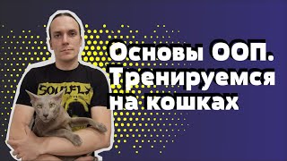 Основы ООП. Наследование, инкапсуляция, полиморфизм. Примеры кода