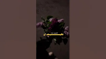 هلا باللي اثاريني بحسنه طحت وانا اظن الهوى توه 