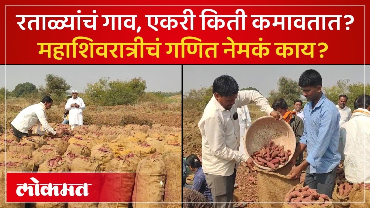 रताळ्याचं गाव, नियोजन कसं अन् शेतकरी करोडो रुपये कसे कमावतात? Maharashtra Farmers Success Story |AM3