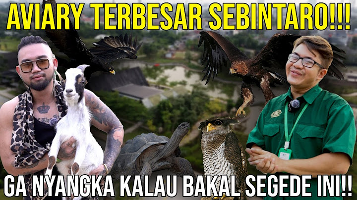 AVIARY TERBESAR SE-BINTARO!! GA NYANGKA BAKAL SEGEDE GINI!! #AudreyA #KINGOFTHEJUNGLE