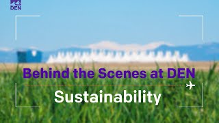 Behind the Scenes at DEN: Sustainability