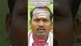 వర బరహమ నద గరదవ బరహమగర భగవత వగ మమమల బరవ ఇట రవ Brahmamgari Bhagvatam Qvideos