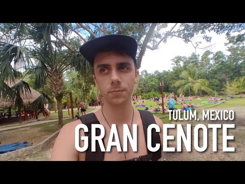 Swimming in Gran Cenote | Tulum, Mexico
