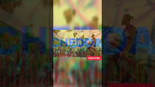 Rygin King - Cheddar | unOfficial Video | Promote Me