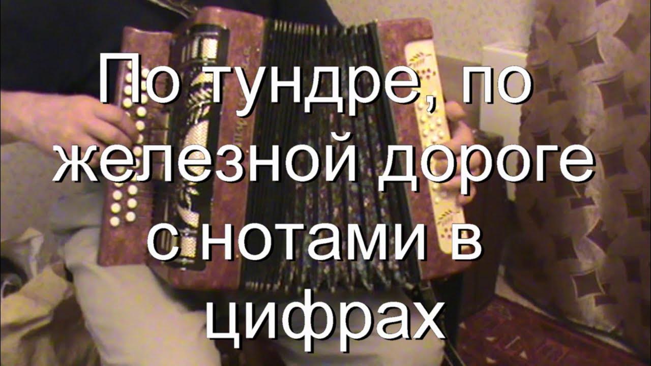 Проект тундра. Tundra toyota 37. Разбор тундра. Разбор тундра. Тундра природная зона 4 класс.