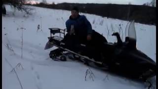 ИП Стариков и Облвет. Фэйковый приют в Тульской области по сути та же бойня ИП Стариков и Облвет. Фэйковый приют в Тульской области по сути та же бойня