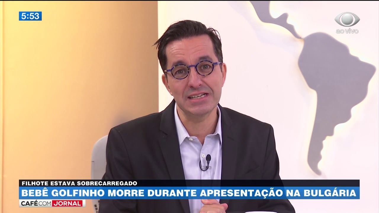 Bebê golfinho morre durante apresentação na Bulgária cafe com jornal acabou