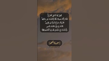 سورة النمل الآية ٤٤ بصوت الشيخ محمد صديق المنشاوي