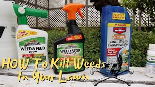 HOW To Kill Weeds In Your Lawn | Lawn Care Tips For Weed Control
