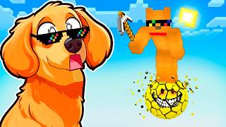 Minecraft PERO en 1 BLOQUE de VERITY!!!