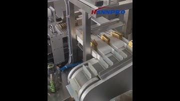 Sachet pouch sorting Package Line（4-side sealed side stand for orderly collection+cartoning）