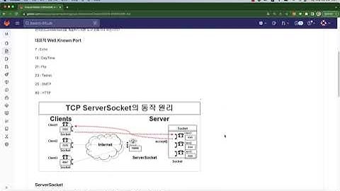 자바 입문 마스터하기 - 소켓을 활용한 Echo Server 만들기