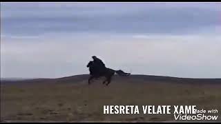 kahtalı Ali Baran/hesreta velate xame Resimi