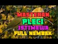 Masteran Tembakan Pleci Istimewa Mudah Ditiru Mp3 - Mp4 Download