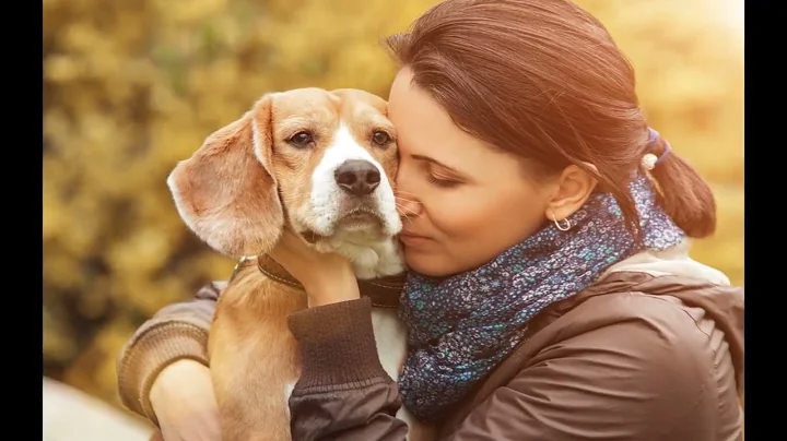 Domestic violence survivors need their pets