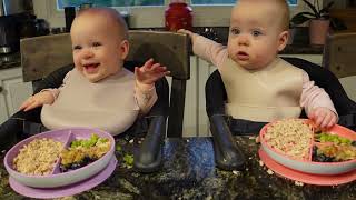 Twins try Tuna and Asparagus