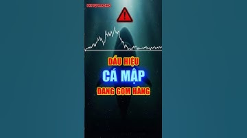 SỰ IM LẶNG TRƯỚC BÃO - KHI CÁ MẬP ĐANG GOM HÀNG | PHI VỤ TRADING