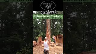 Huge Root-Rotted Redwood Sails off into the Nothing