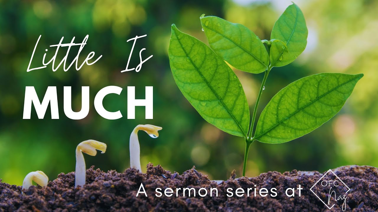 Funny What 3 Words Funny What 3 Words