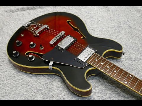 Aria Pro II TA62T 90年代　セミアコ Aria Pro II TA62T 90年代 セミアコ