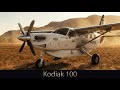 MSFS 2024 / Kodiak
