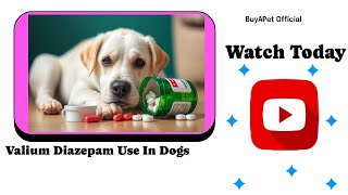 "Valium for Dogs? 🐾 Discover the Shocking Truth About Diazepam Use in Our Furry Friends!"