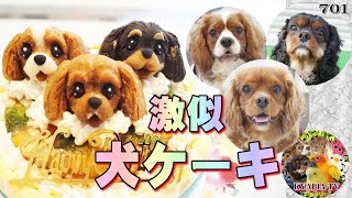 まるで似顔絵❤犬用ケーキで誕生日のお祝い 犬用品動画701