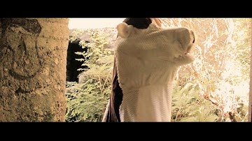 smthn   Interference Official Video