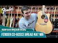 Обзор электроакустической гитары Fender CD-60SCE Dread Nat WN | SKIFMUSIC.RU