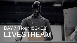 F.03 Livestream: Day 7 (Hour 156-168)