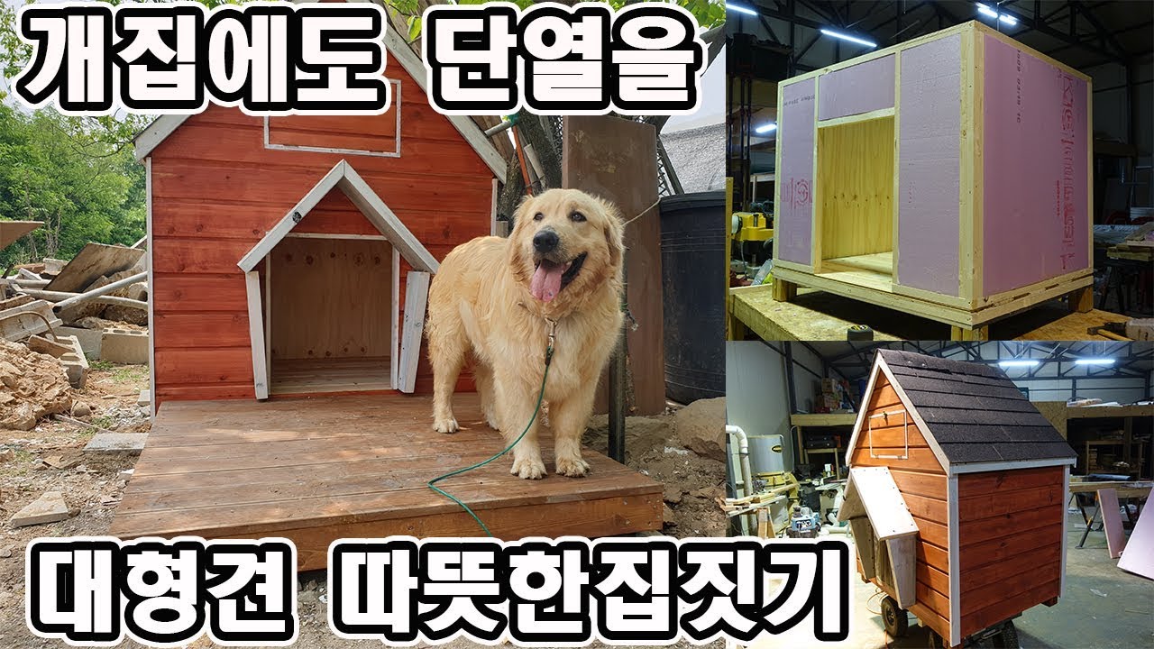 대형견 개집만들기/골든리트리버 개집