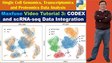 Maxfuse Video Tutorial 3: CODEX and scRNA-seq Data Integration