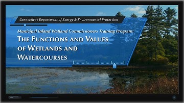 Wetland Functions & Values: Chapter 1 Introduction