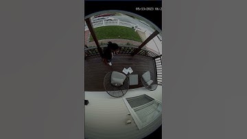 Reolink FishEye Cam