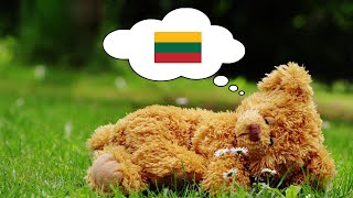 Learn Lithuanian While You Sleep - 1000 Important Lithuanian Words & Phrases screenshot 2