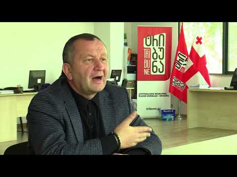 ივანიშვილს არ აქვს მომავლის ხედვა, თავისი საქმიანობის წარმატებას წარსულთან ბრძოლაში ეძებს - ჭიჭინაძე