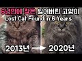 잃어버린 고양이 6년만에 찾았어요[고양이탐정]Lost Cat Found in 6 Years