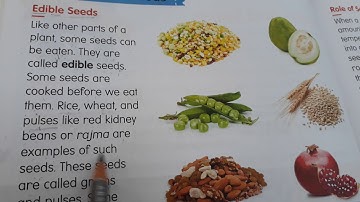 Class 3(Science)---- Raeding of lesson 1of block 2(Fruits and Seeds)