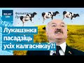 Следчы камітэт сапсаваў паказнікі ў калгасах / Фельетоны Лупача