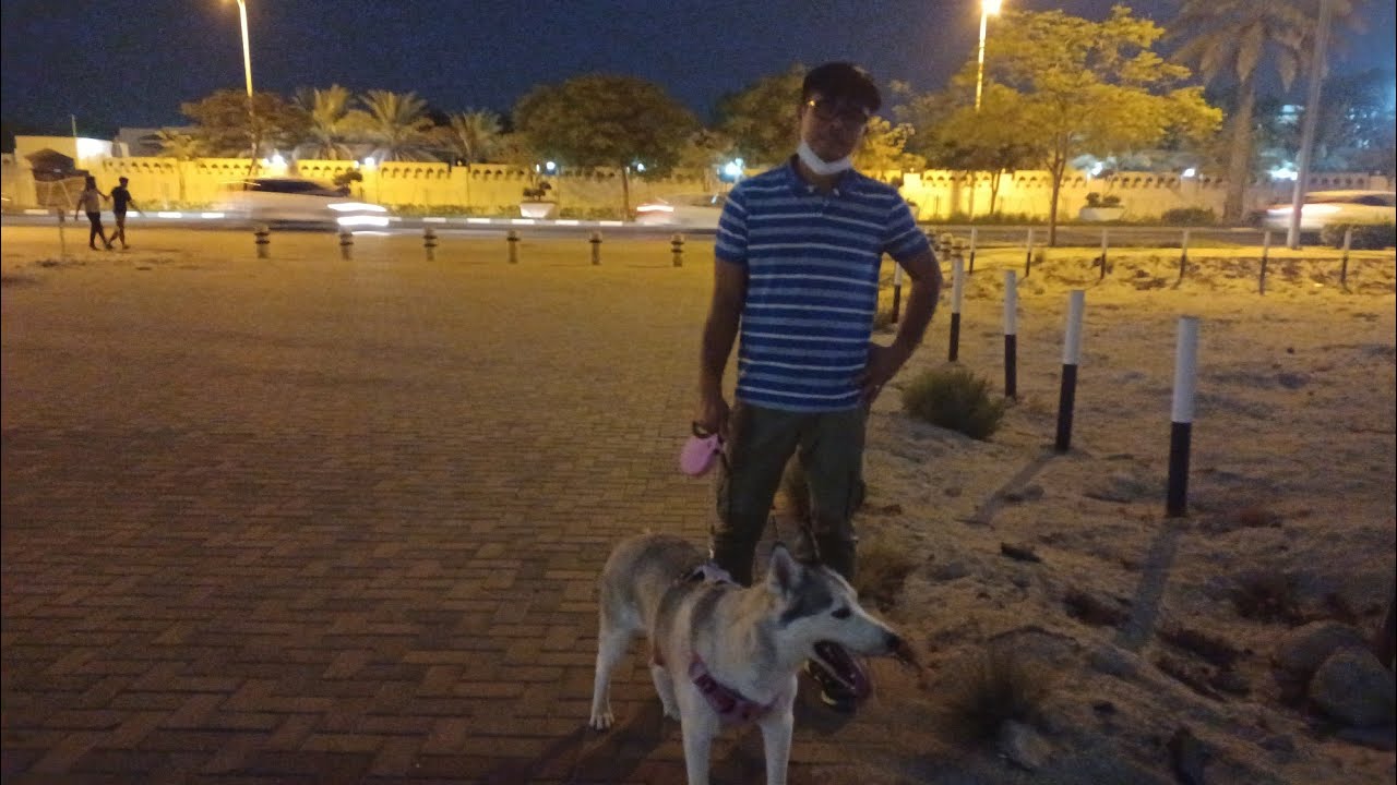 Birds & Pets Market Dubai Alwarsan - YouTube
