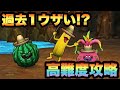 【ドラクエウォーク】過去1ややこし過ぎる高難度！？倒す順番や倒すタイミングも大事？トロピカルアミーゴの高難度を攻略！【ドラゴンクエストウォーク】