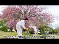 Ở Nhật không có người ngoài đường? Sự thật là…Cuộc sống Nhật Bản