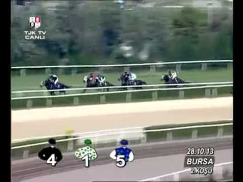 Bursa Hipodromu (61. Yarış Günü) 2. Koşusu - YouTube